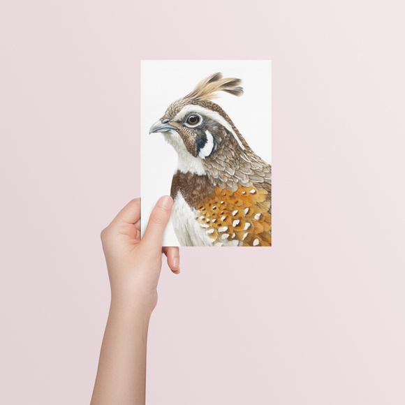 Watercolor Quail Wall Art Print, Unframed - Vibrant Nature-Inspired Home Decor - Picture 5 of 6